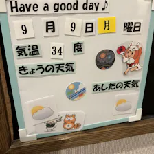 クチコミ画像