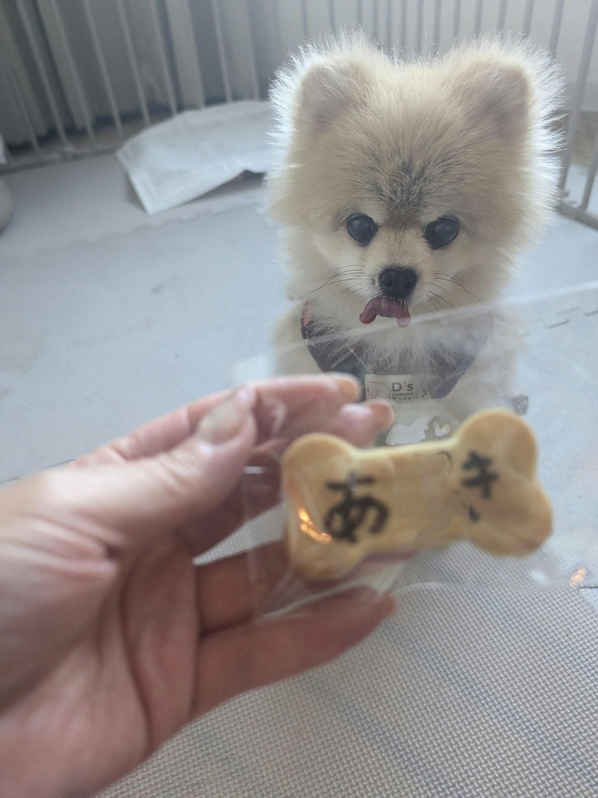クチコミ画像