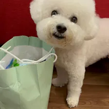 クチコミ画像