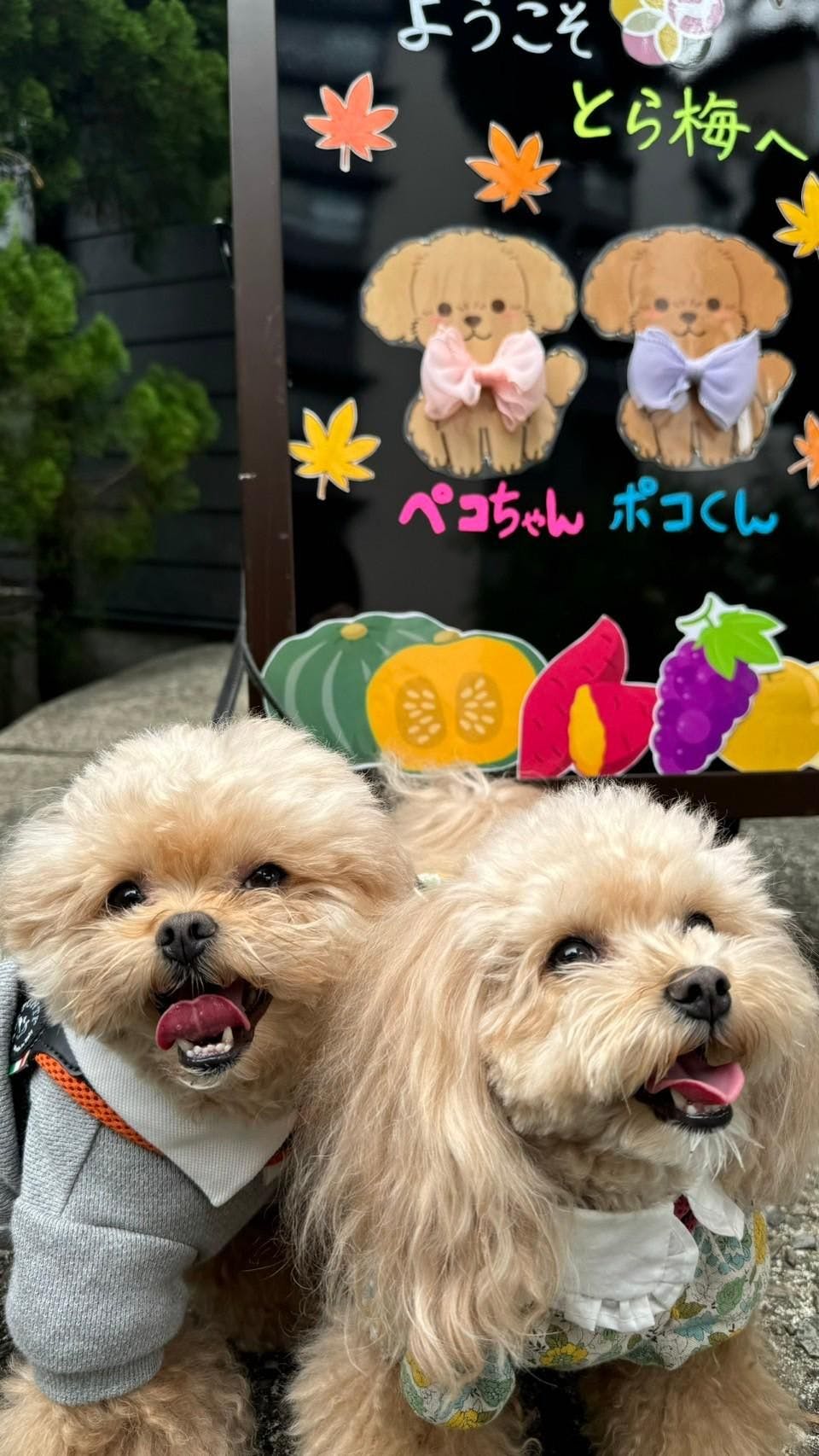 クチコミ画像