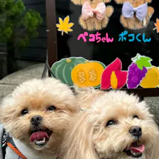 クチコミ画像