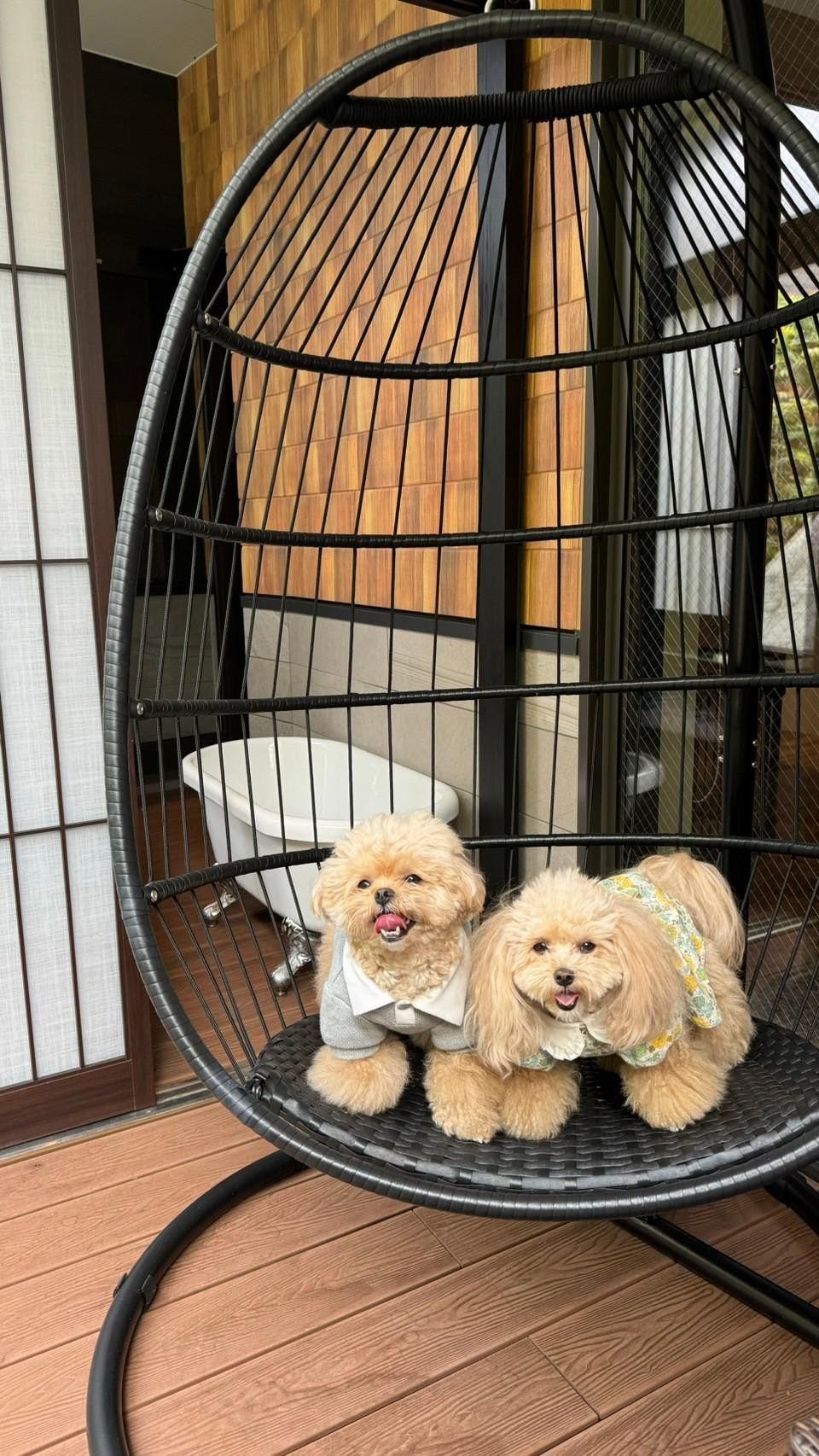 クチコミ画像