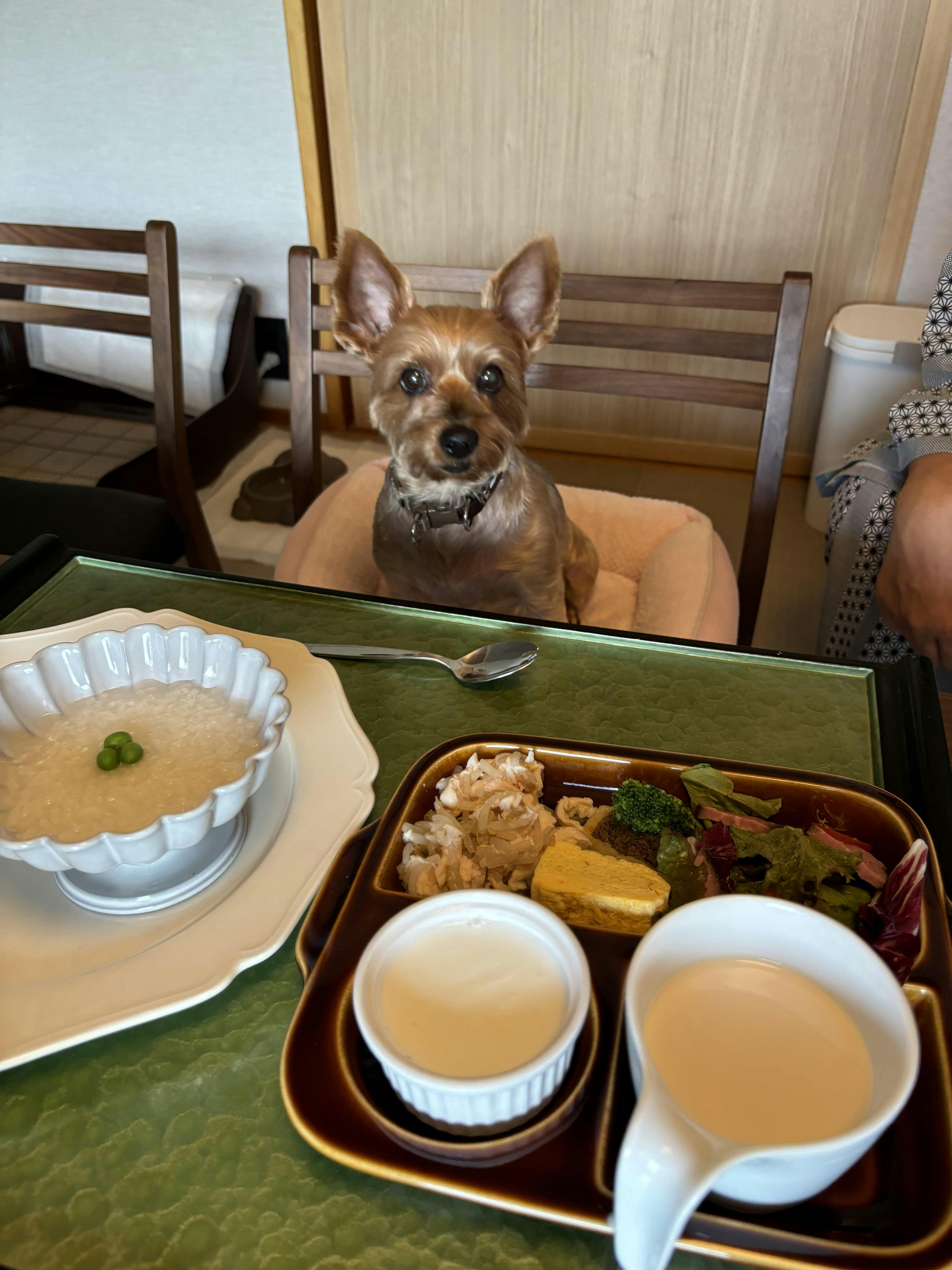 クチコミ画像