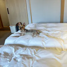 クチコミ画像