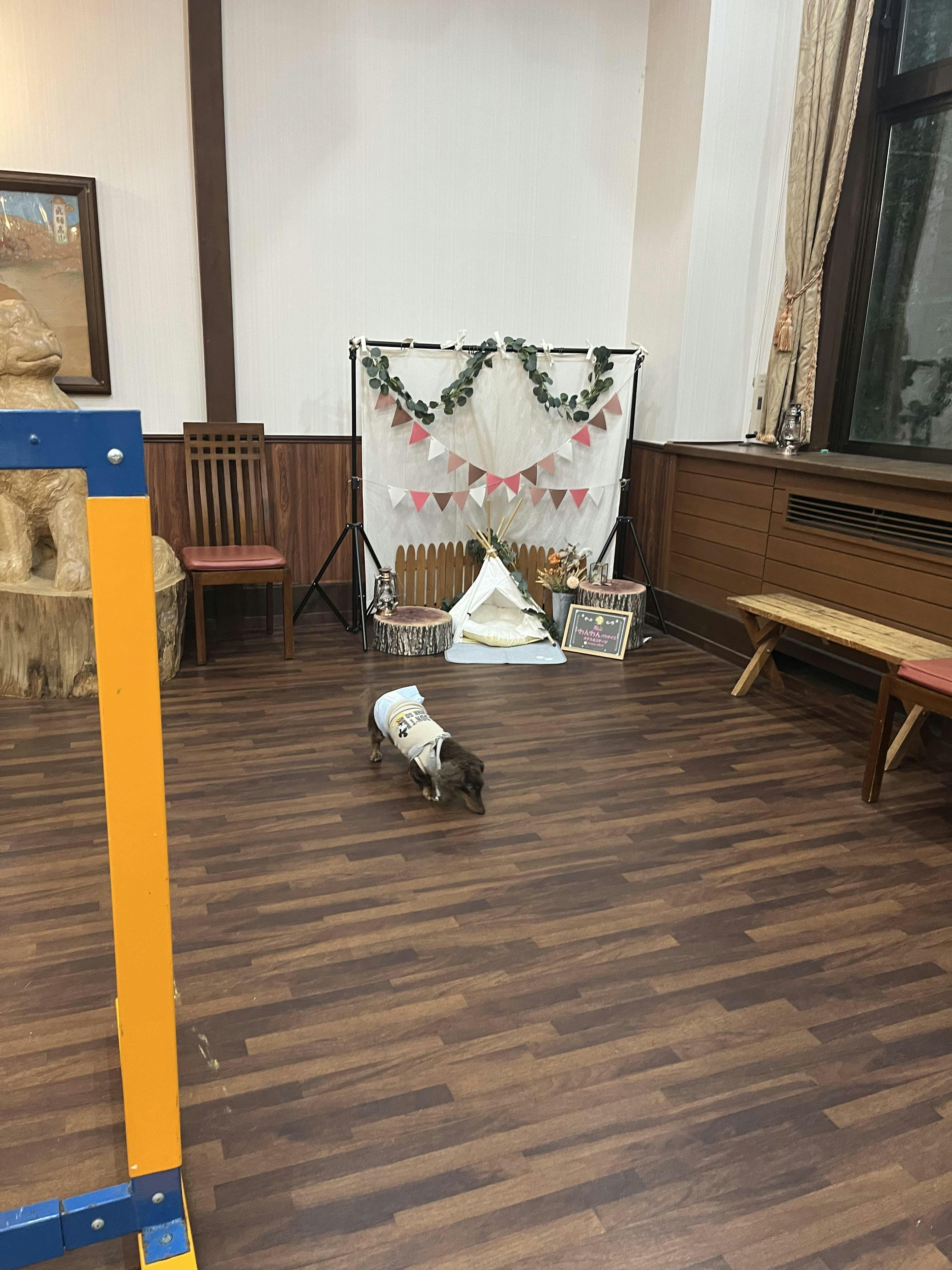 クチコミ画像