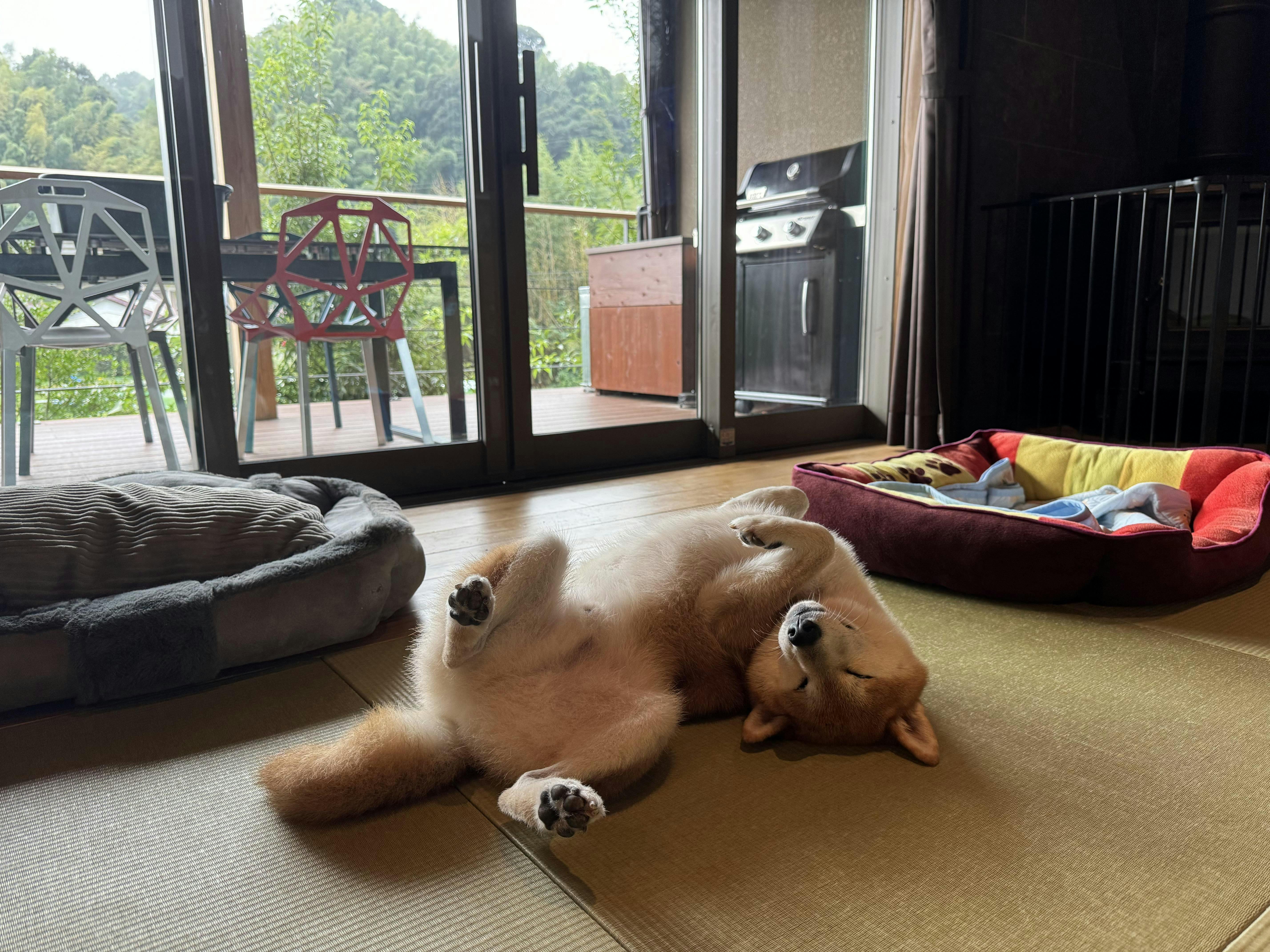クチコミ画像