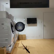 クチコミ画像