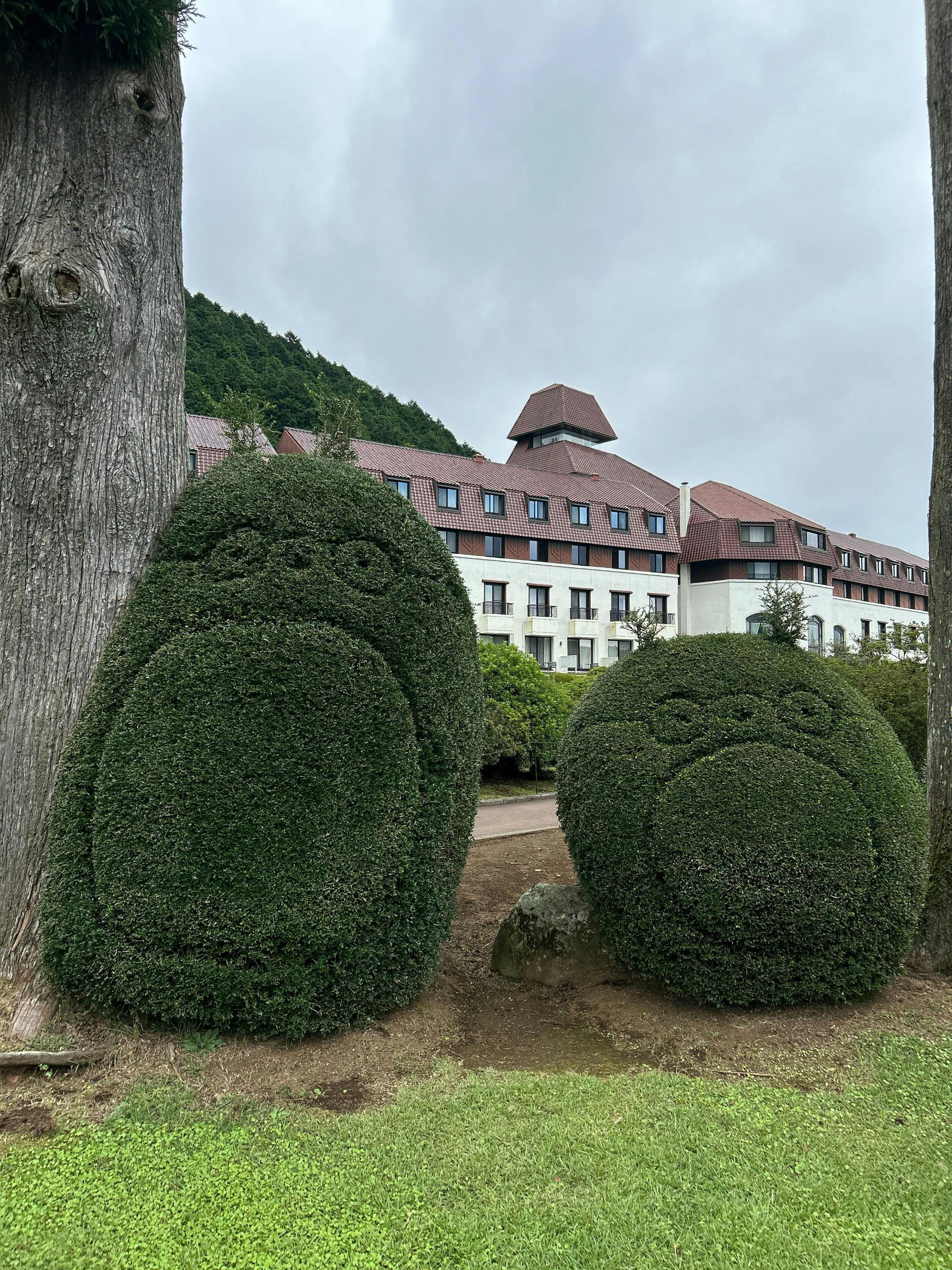 クチコミ画像