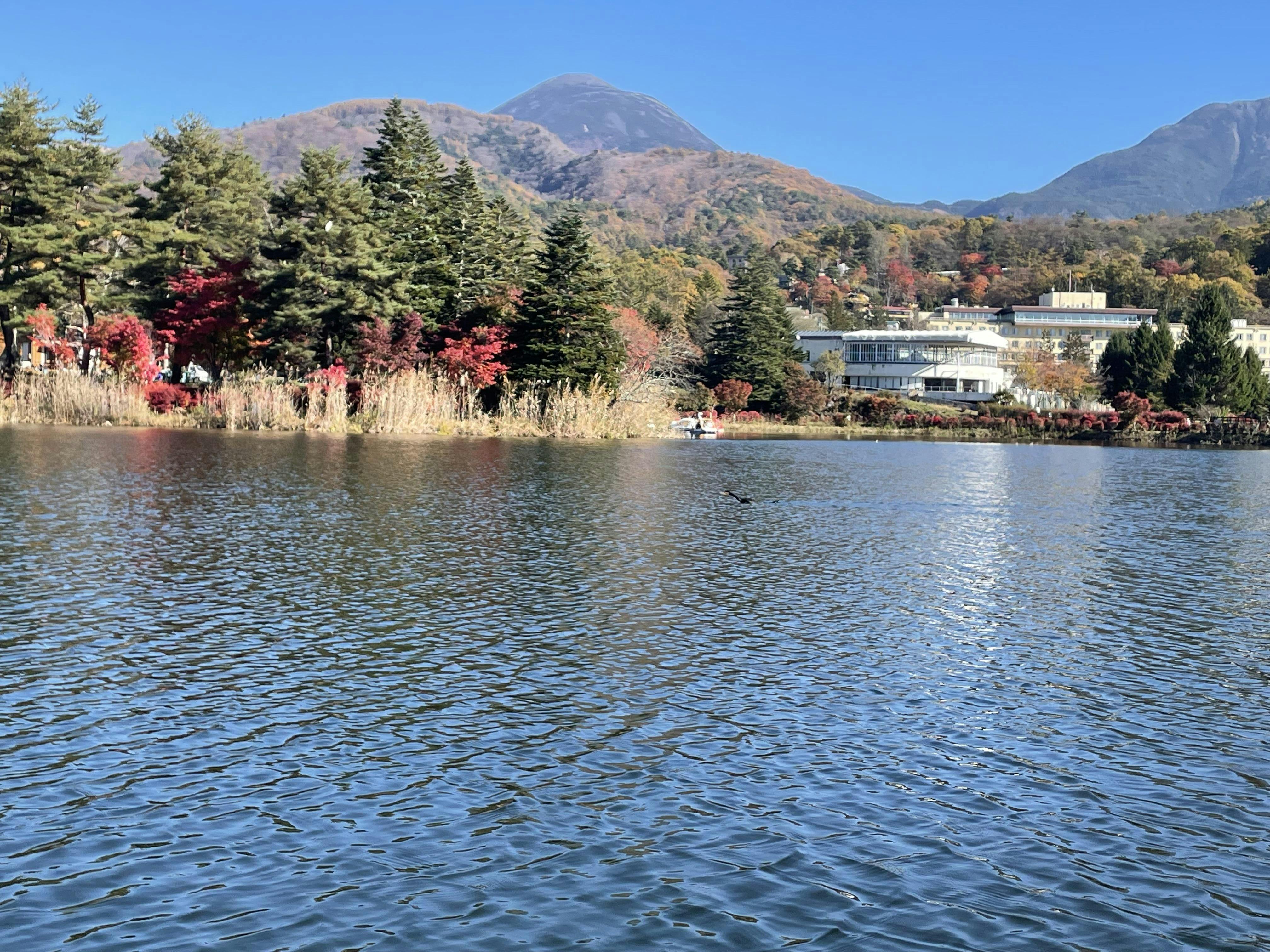 クチコミ画像