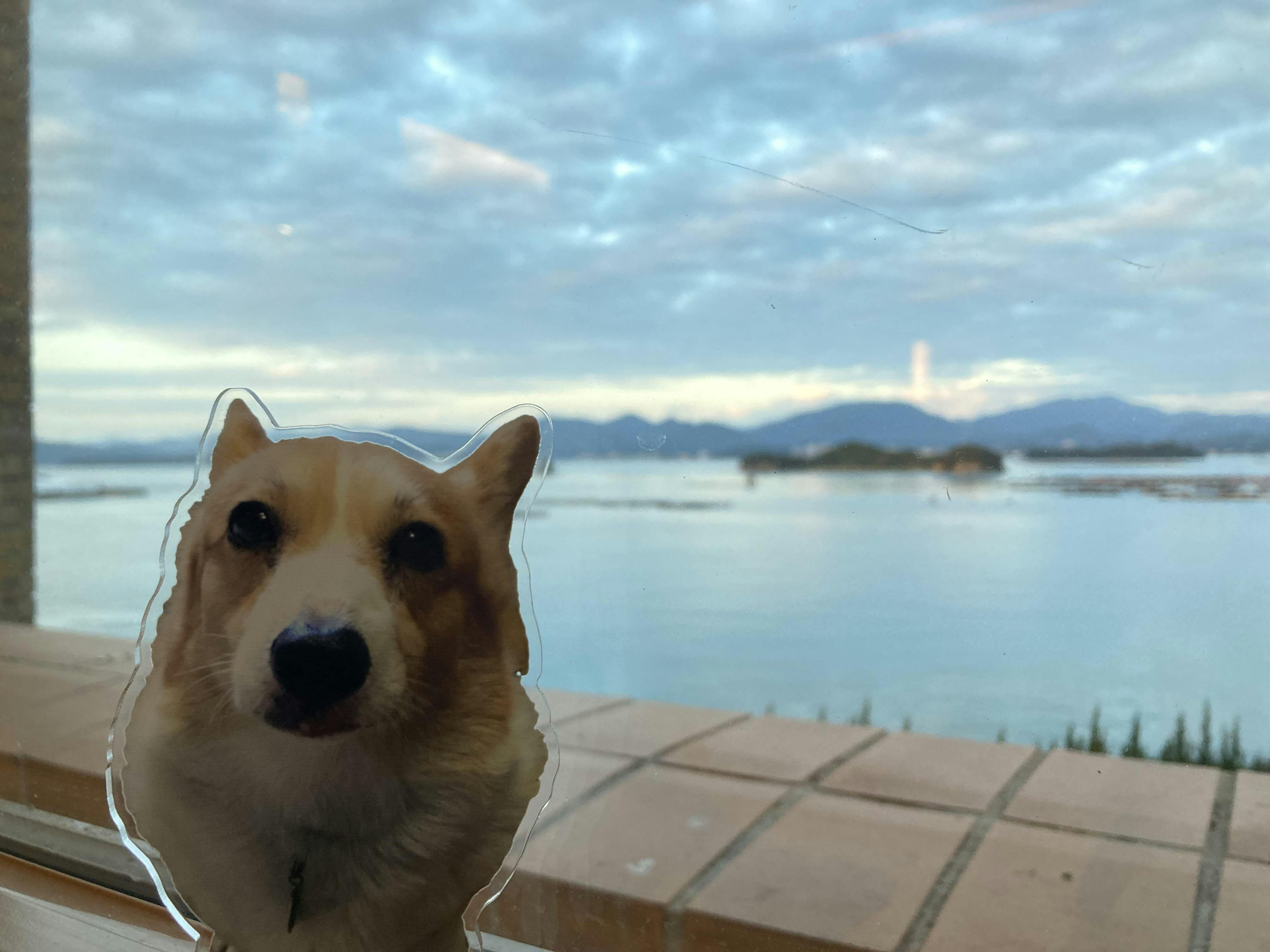 クチコミ画像