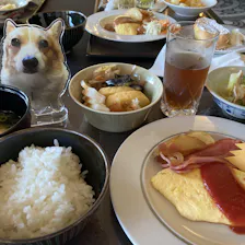 クチコミ画像