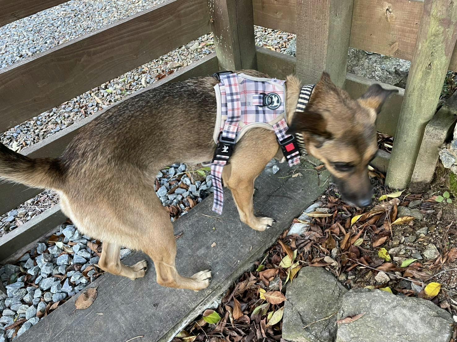 クチコミ画像
