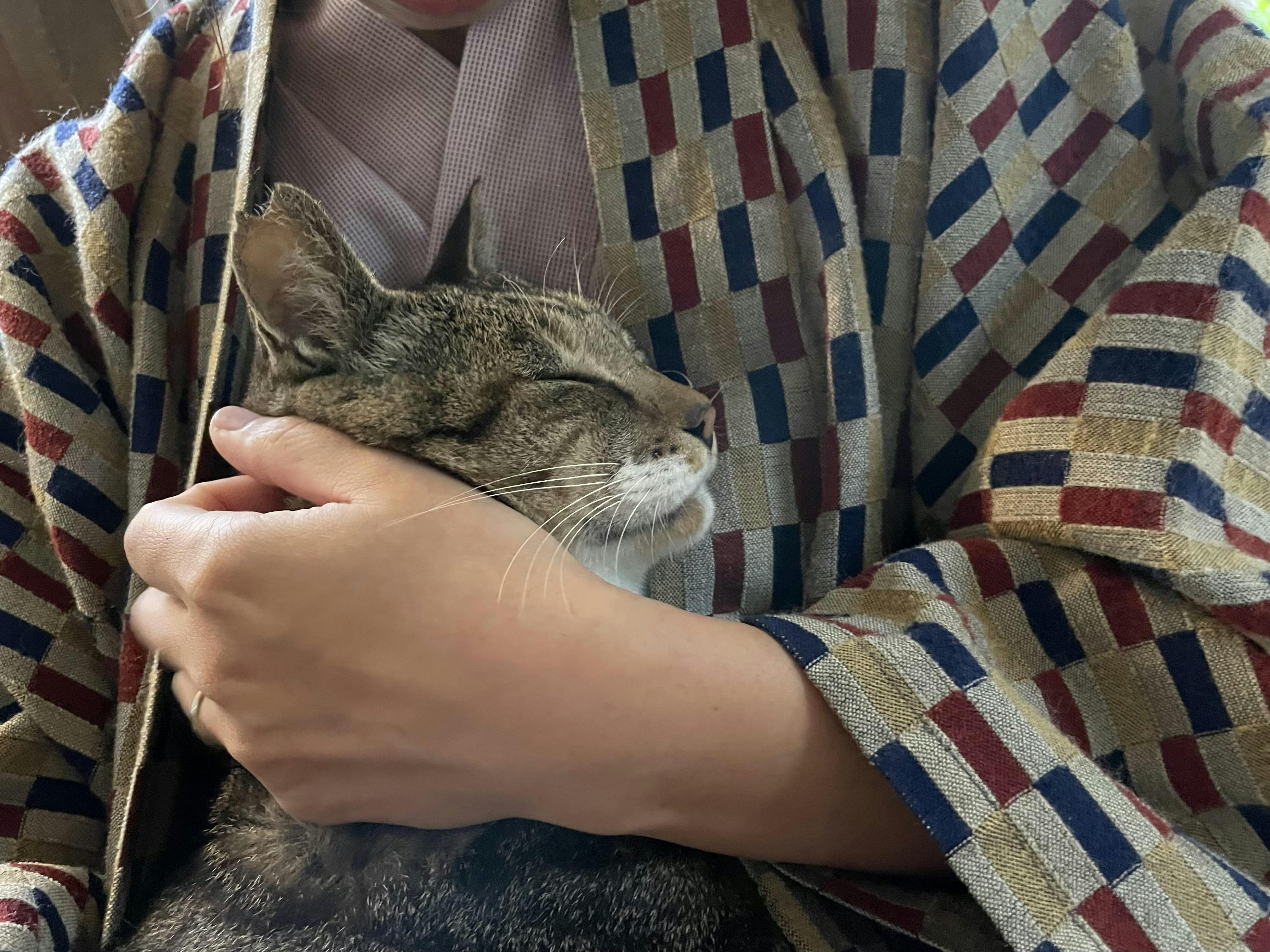 クチコミ画像