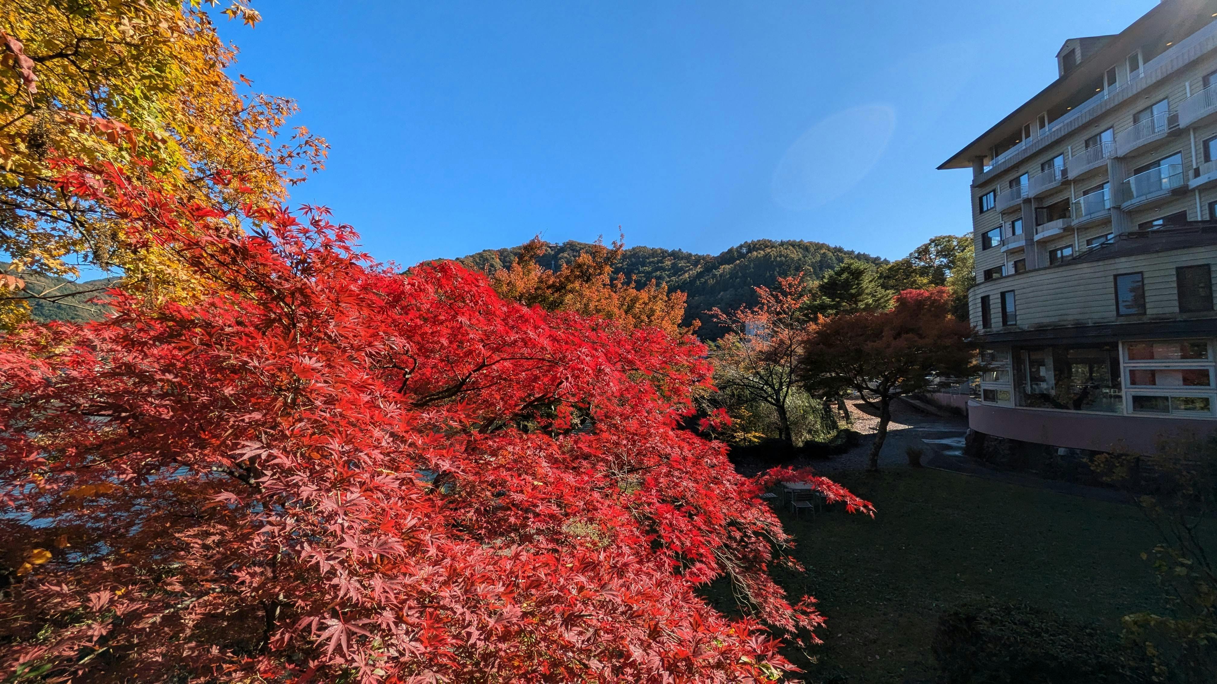 クチコミ画像