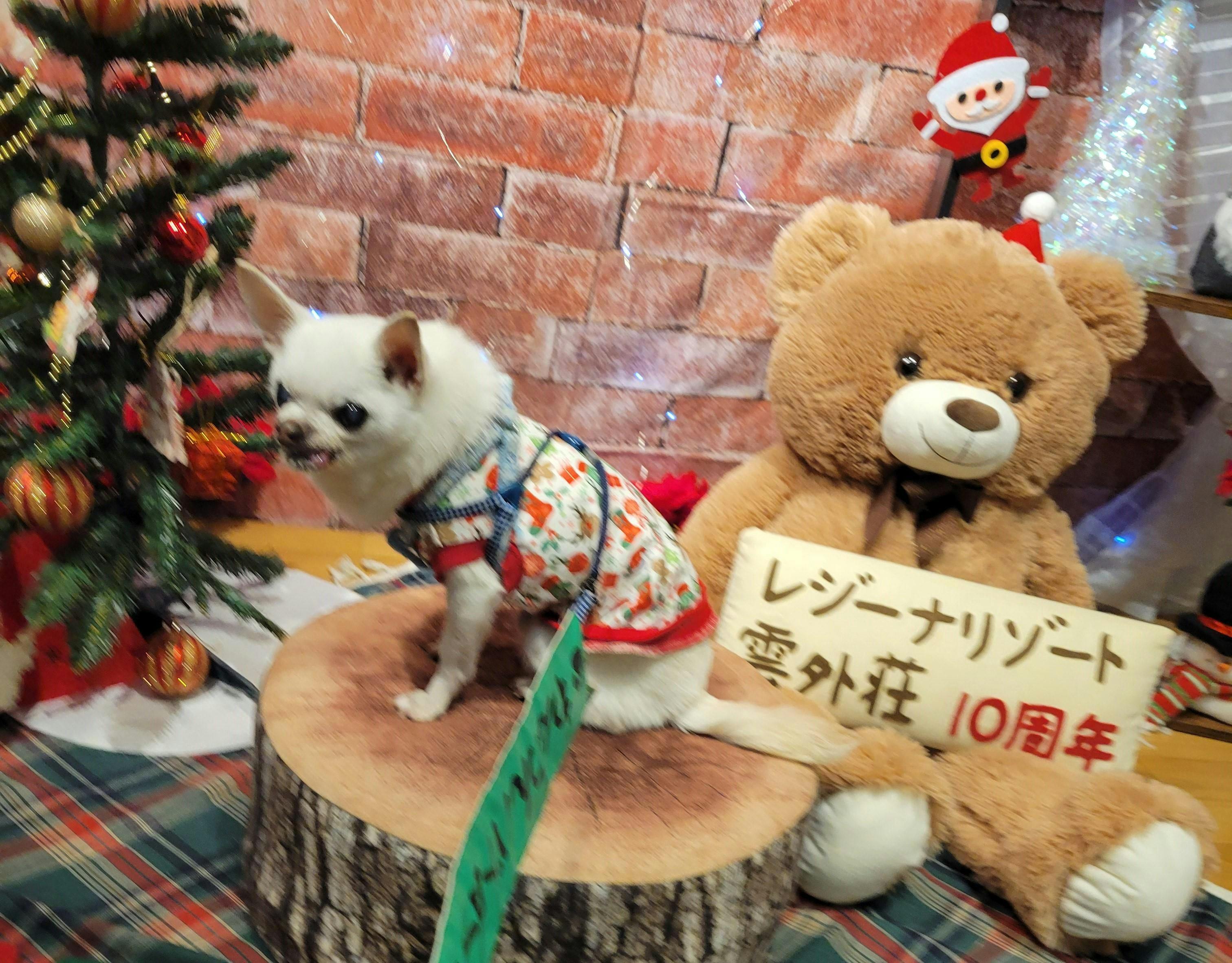 クチコミ画像