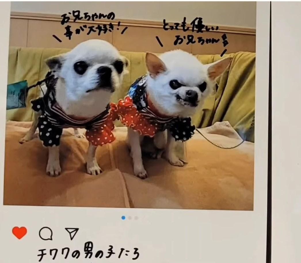 クチコミ画像