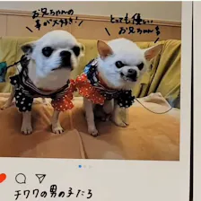 クチコミ画像