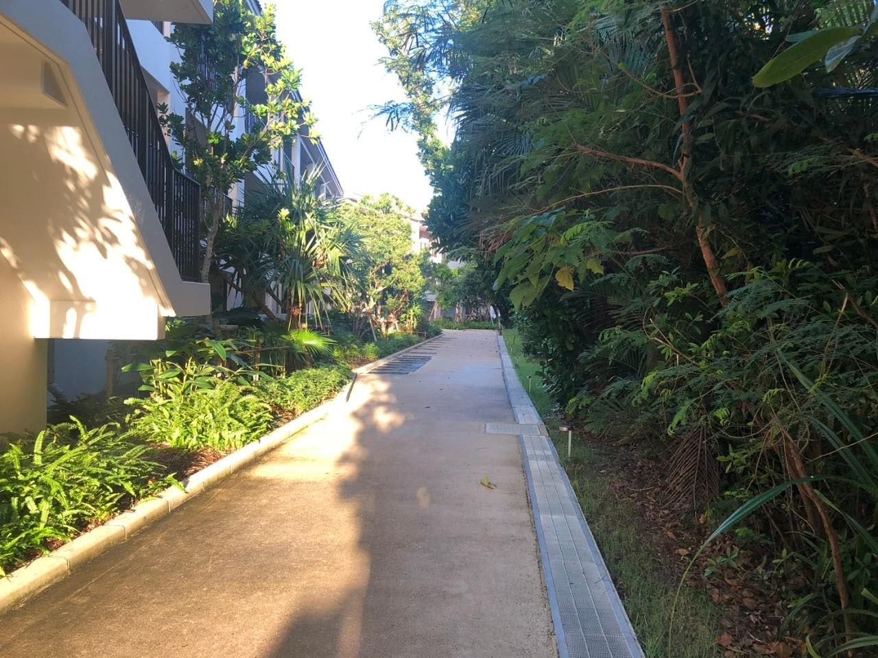 クチコミ画像