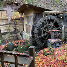 クチコミ画像