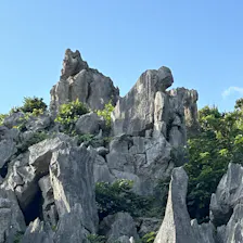 クチコミ画像