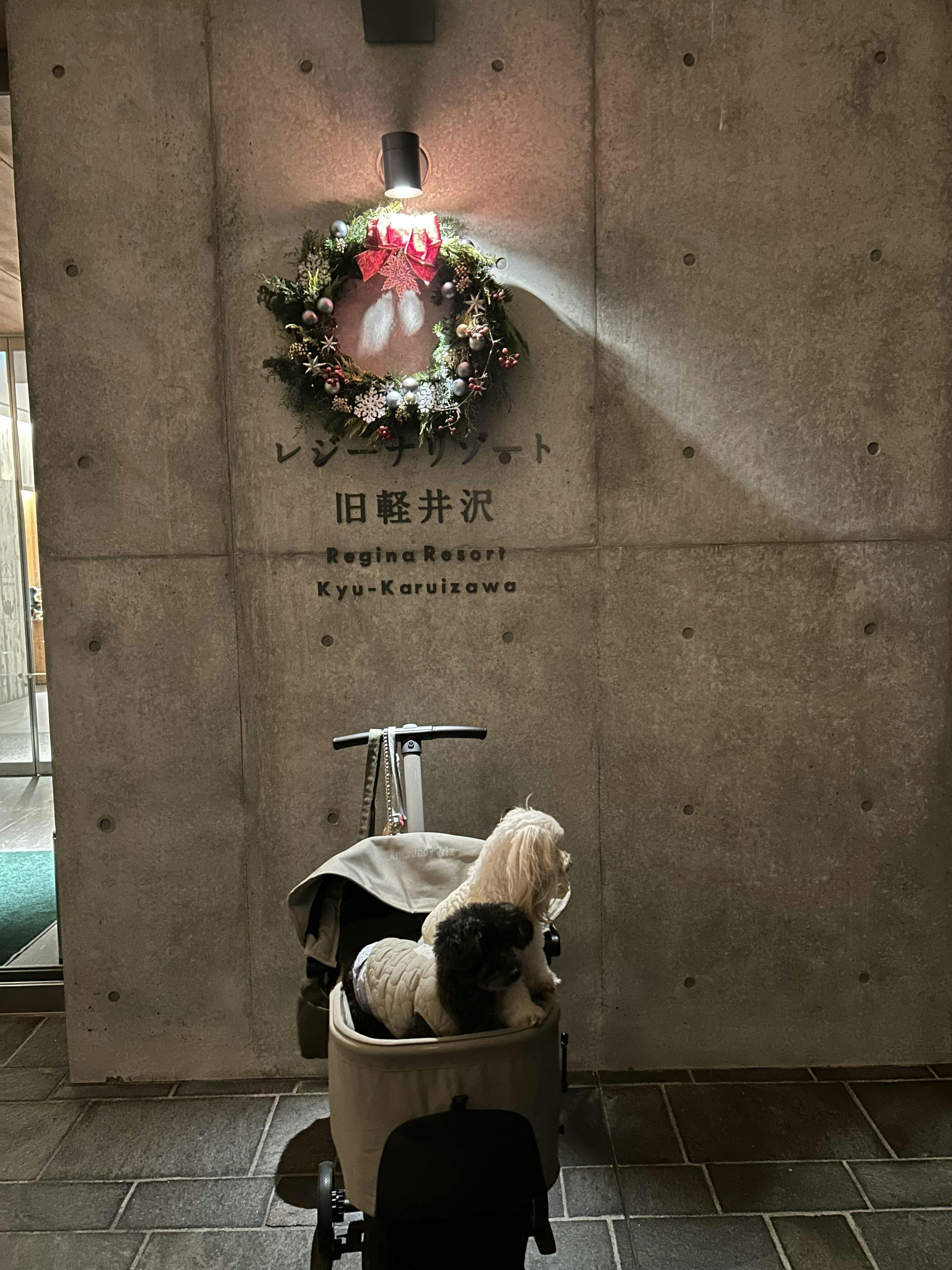 クチコミ画像
