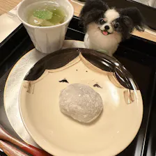 クチコミ画像