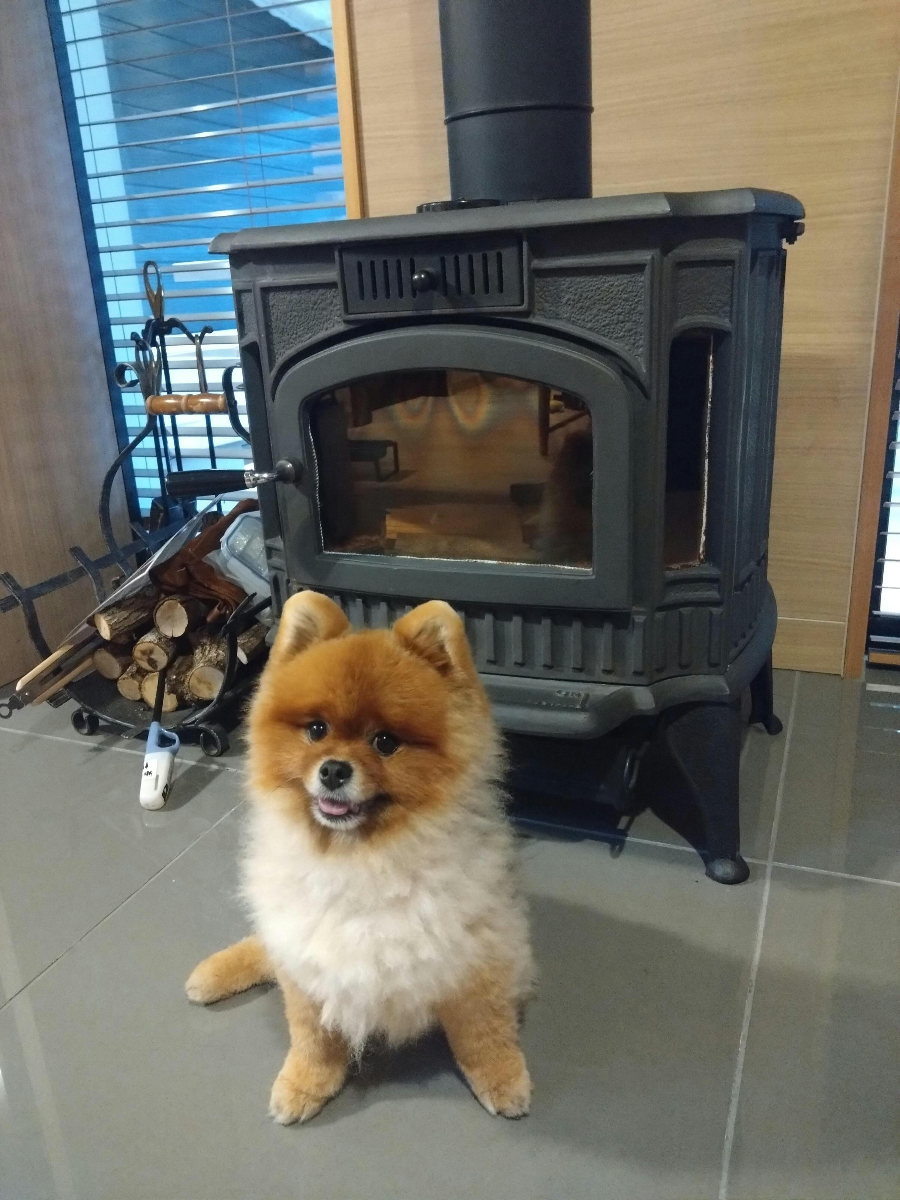 クチコミ画像