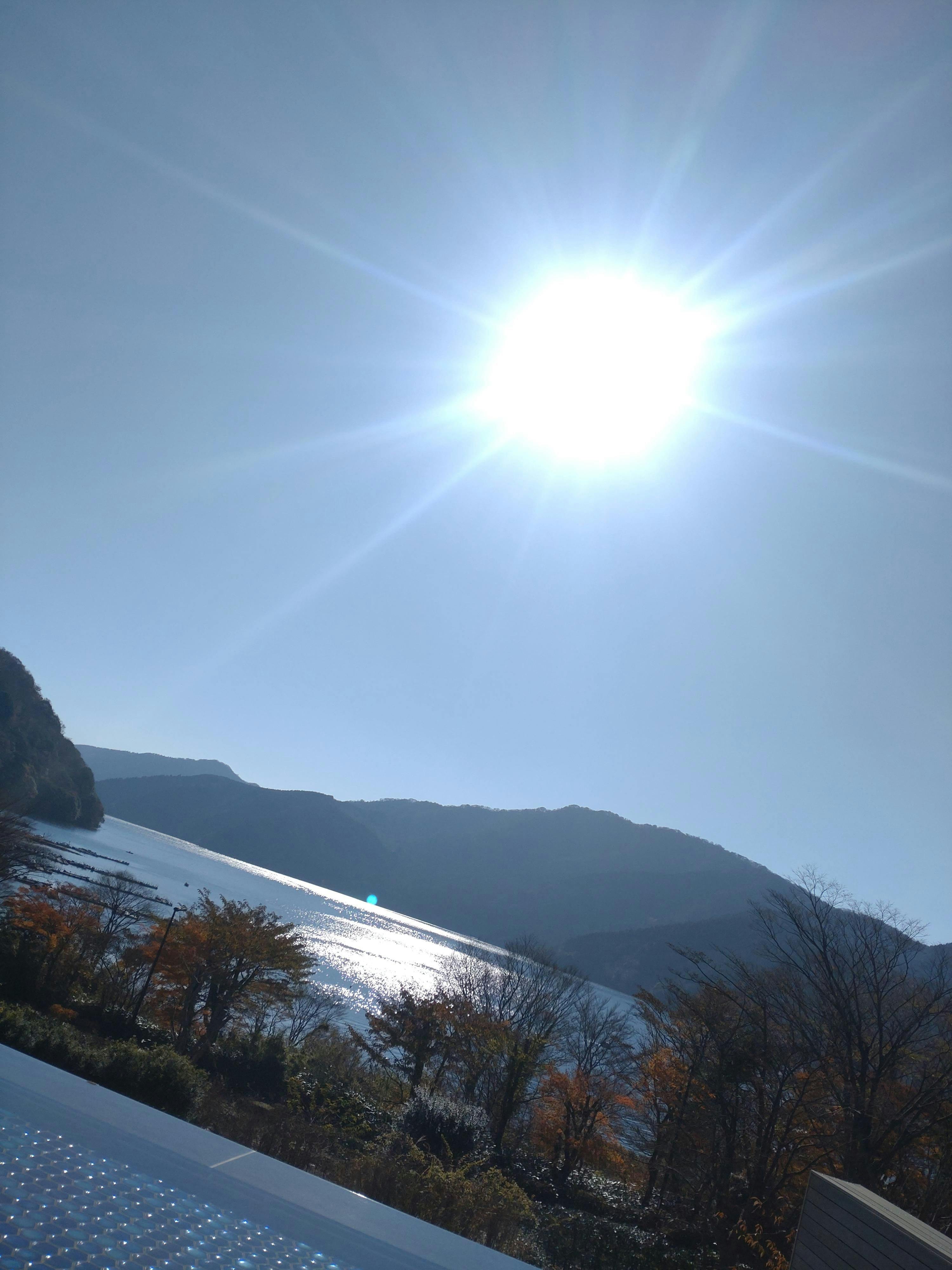 クチコミ画像