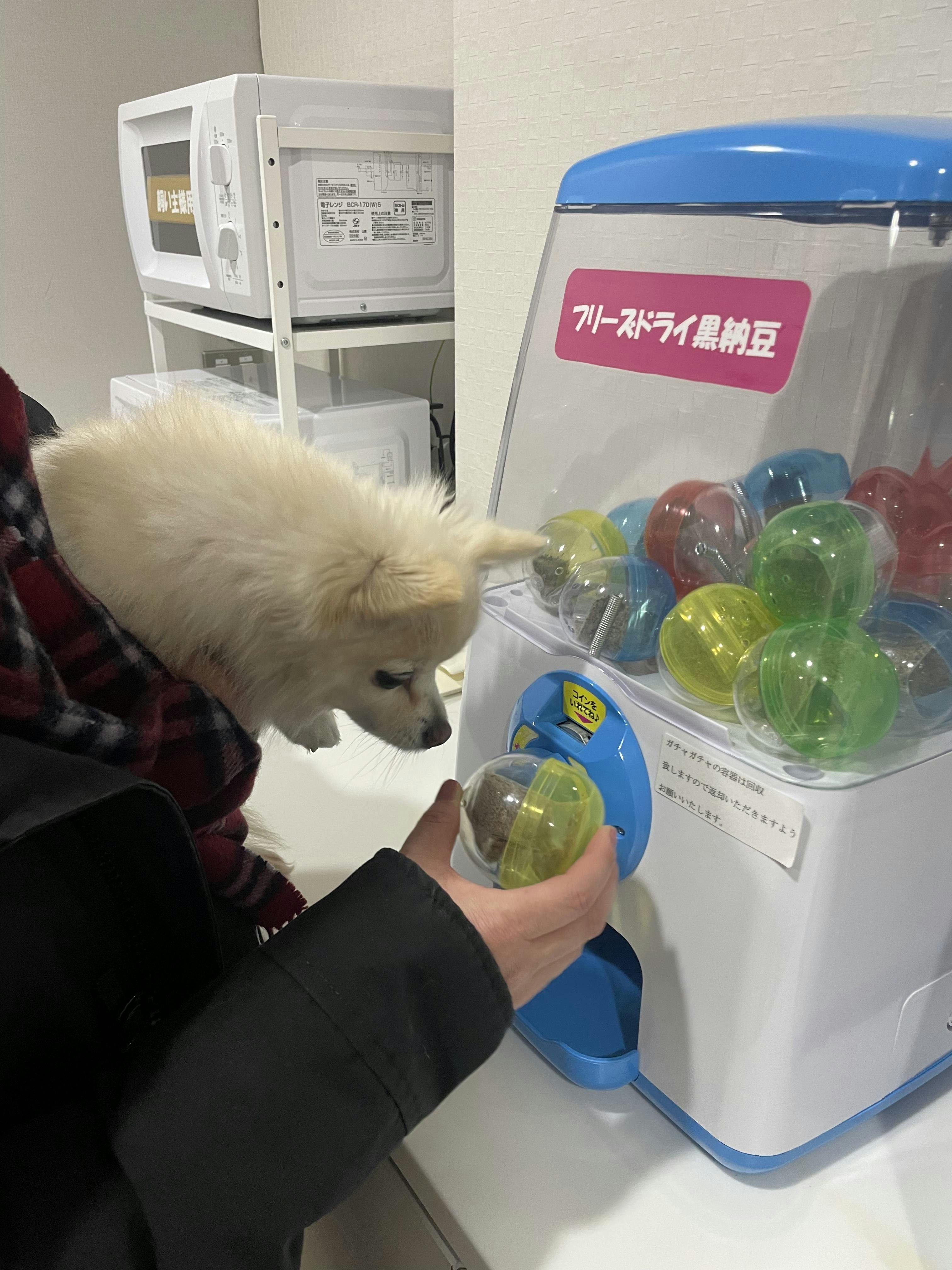 クチコミ画像