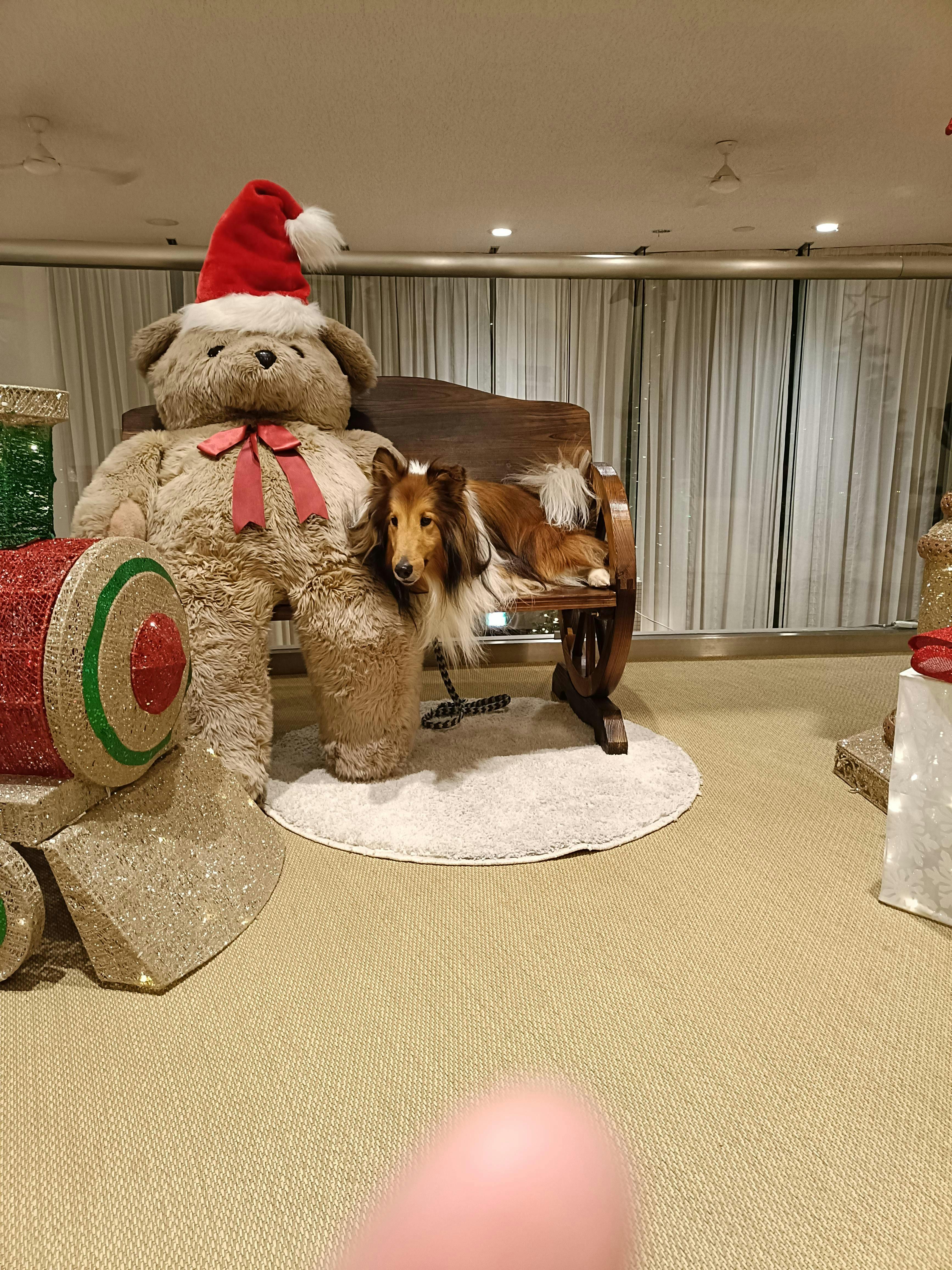 クチコミ画像