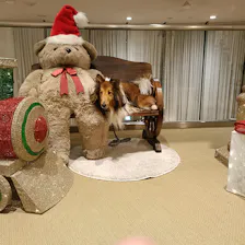 クチコミ画像