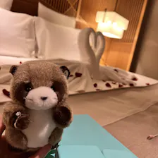 クチコミ画像