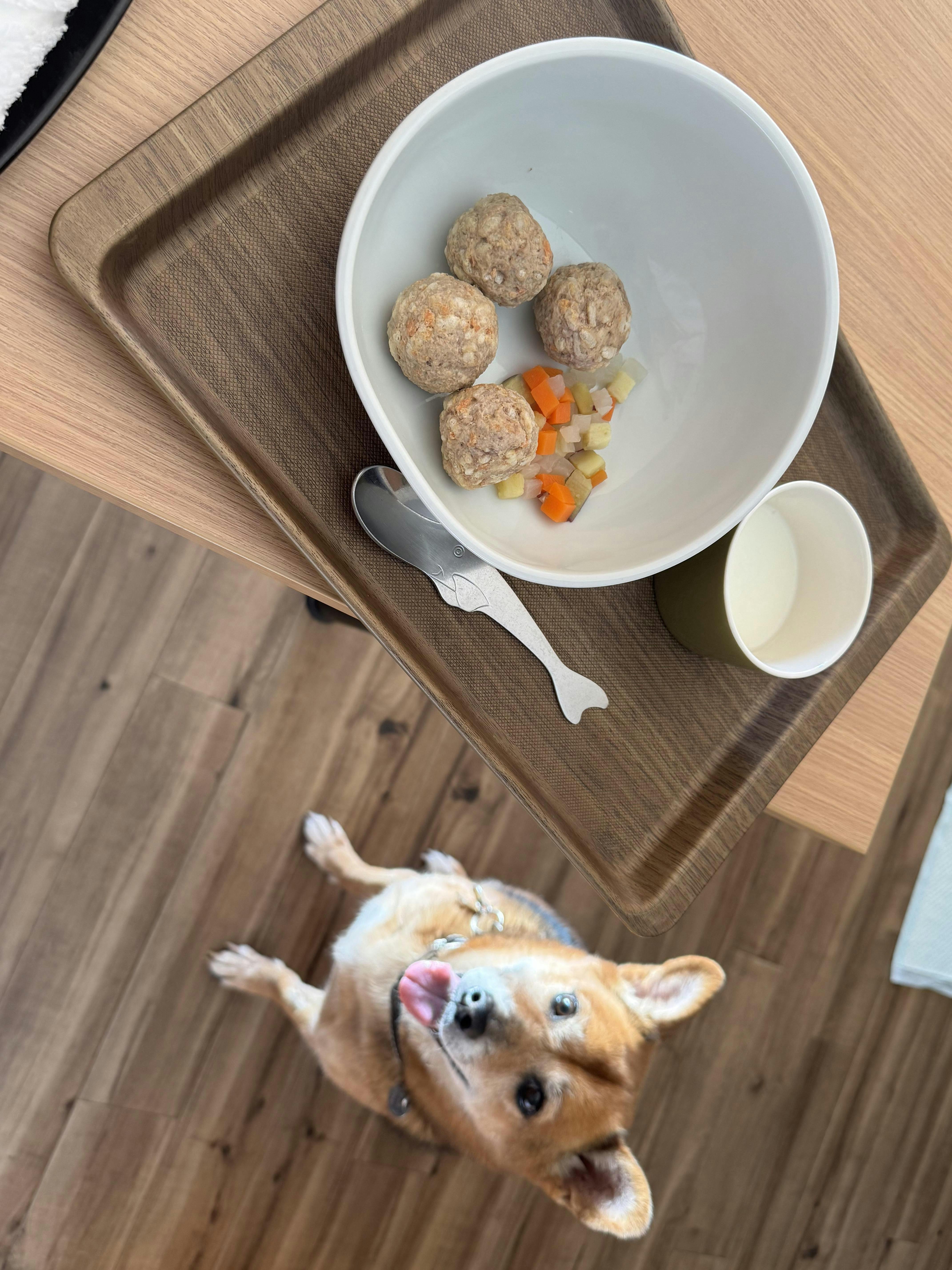 クチコミ画像