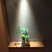 クチコミ画像