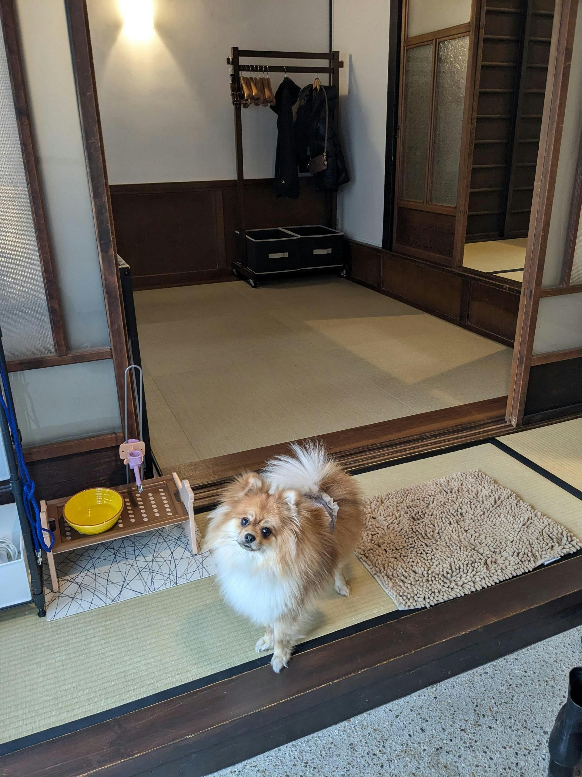 クチコミ画像