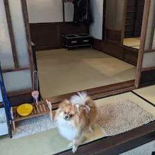 クチコミ画像