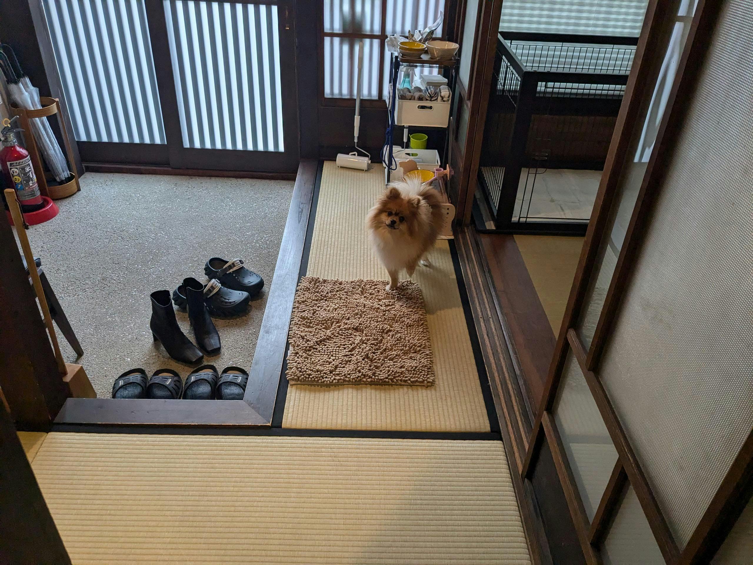 クチコミ画像