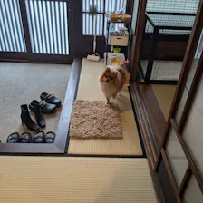 クチコミ画像