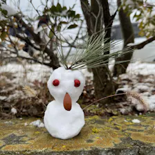 クチコミ画像