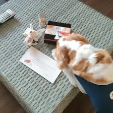 クチコミ画像