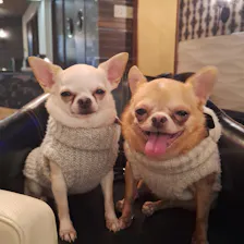 クチコミ画像