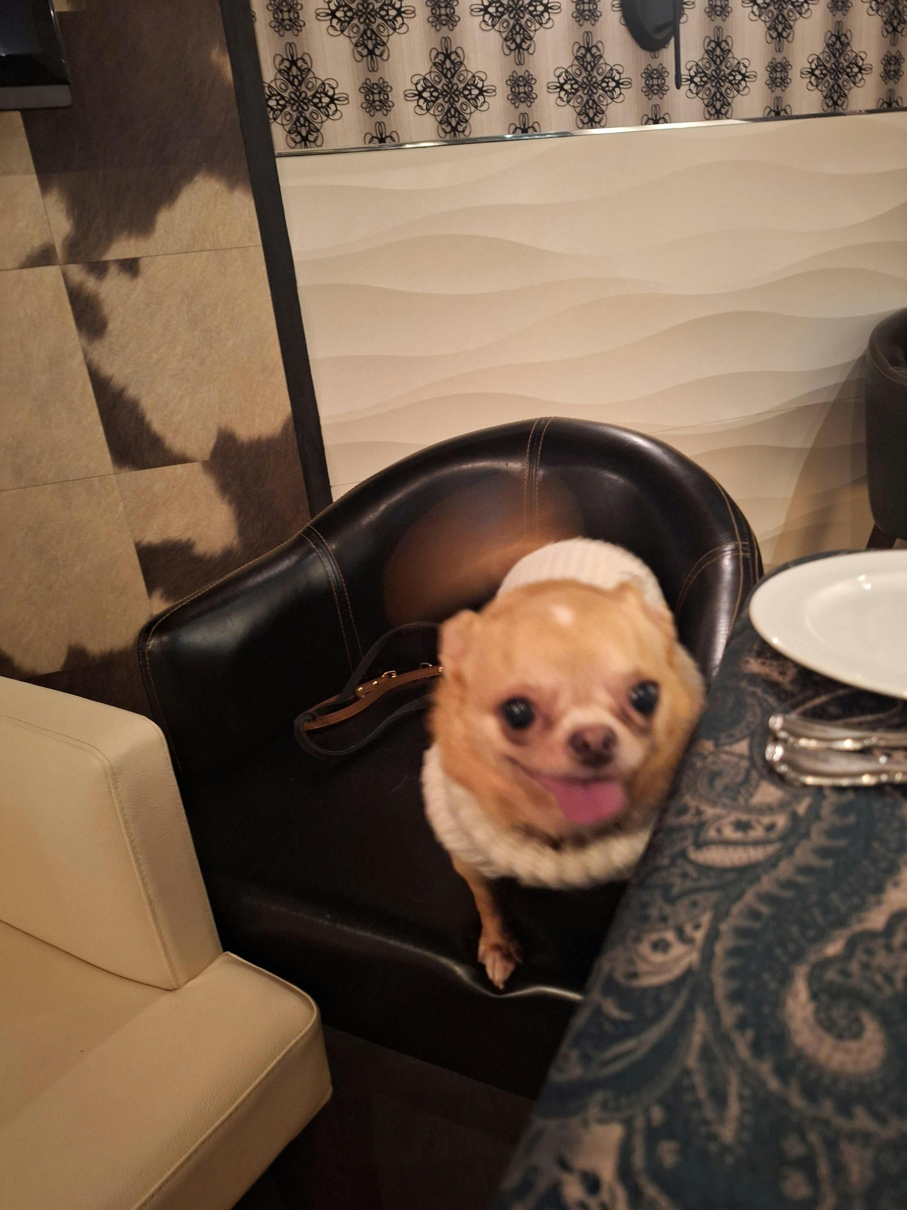 クチコミ画像