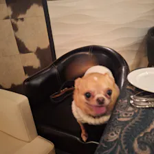 クチコミ画像