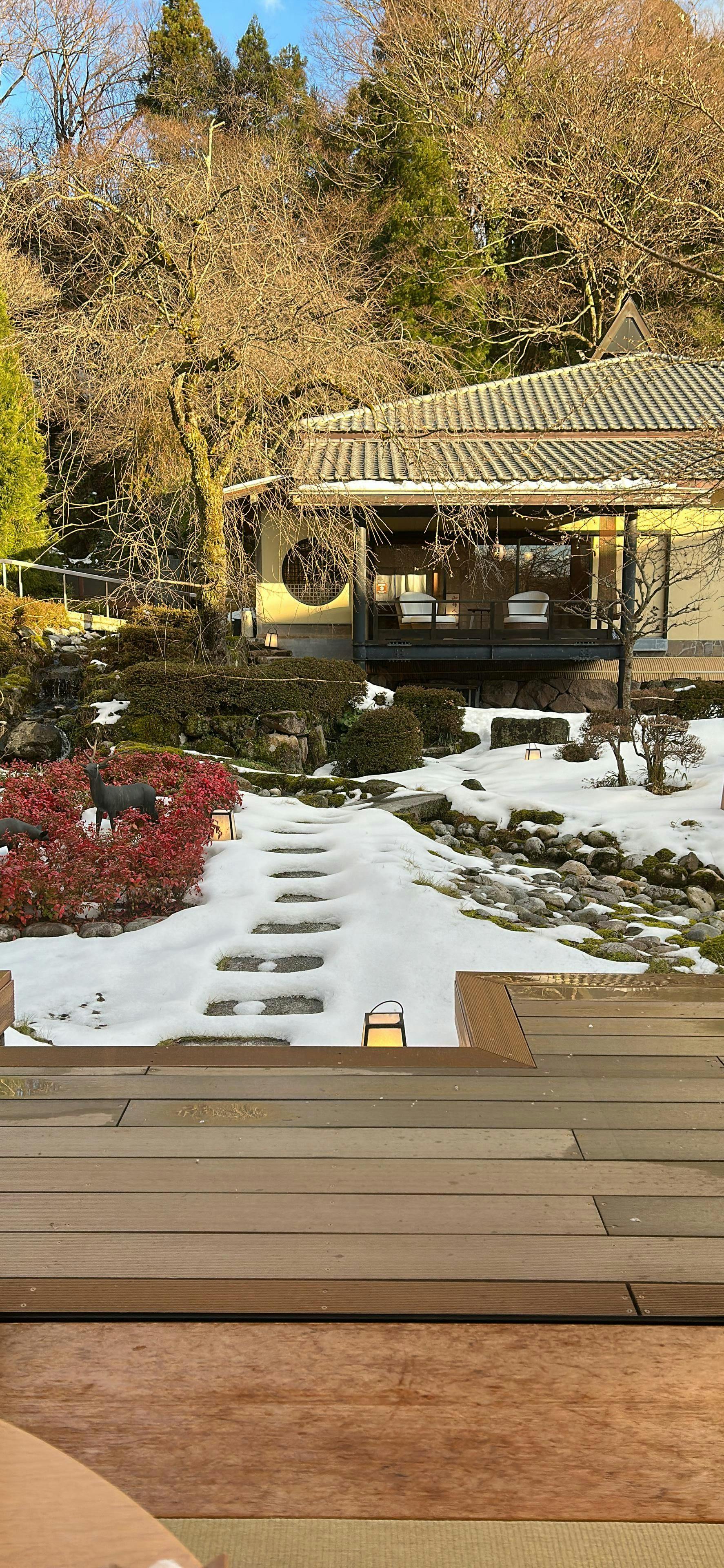 クチコミ画像