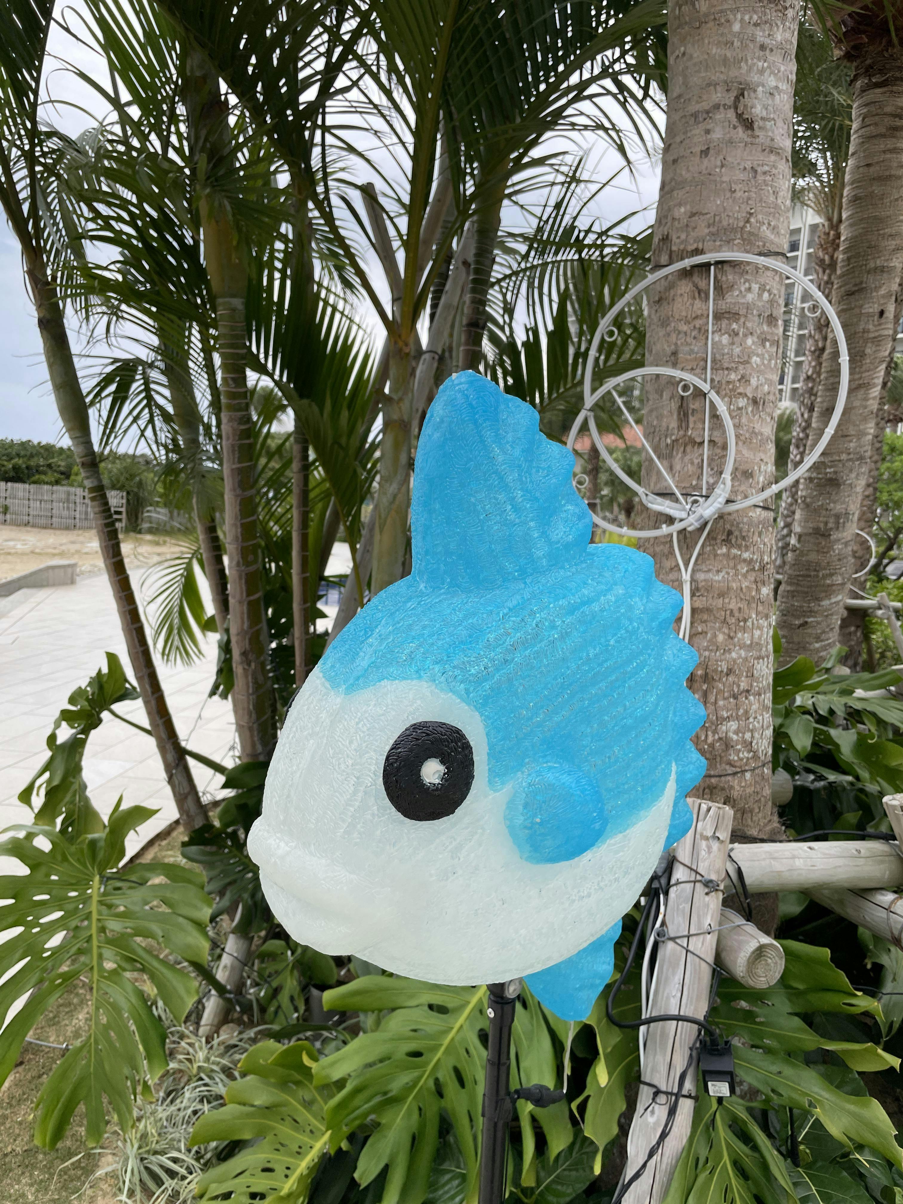 クチコミ画像