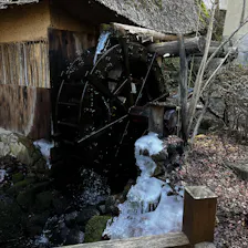 クチコミ画像