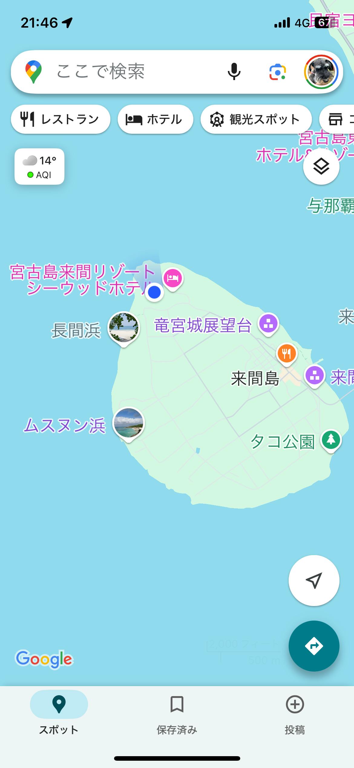 クチコミ画像