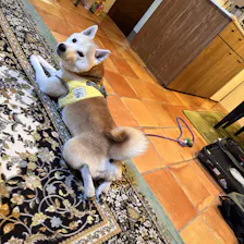 クチコミ画像