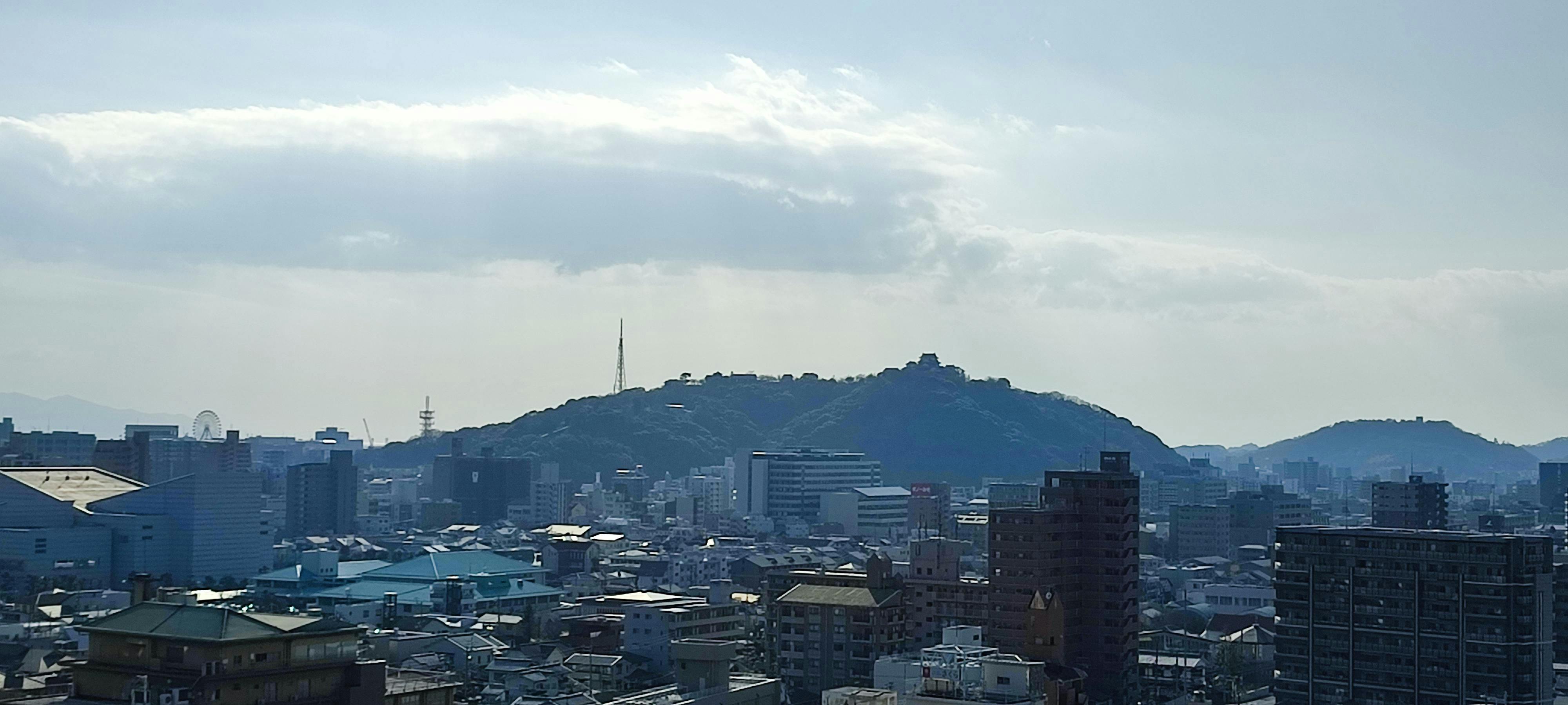 クチコミ画像