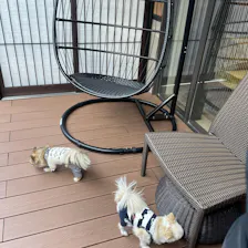 クチコミ画像